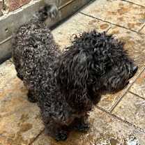 Thumbnail photo of Lathan Rowland #2