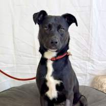 Thumbnail photo of Sonja #3