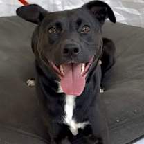 Thumbnail photo of Sonja #4