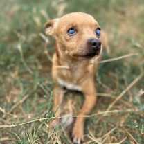 Thumbnail photo of Simon #1