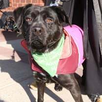 Thumbnail photo of Grace #1