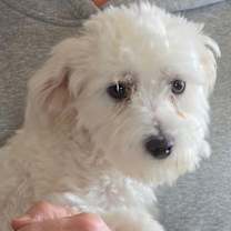 Thumbnail photo of Natan #1