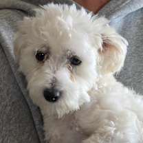 Thumbnail photo of Natan #3