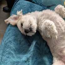 Thumbnail photo of Luca #2