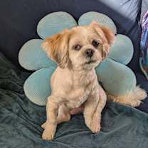 Thumbnail photo of Luca #3