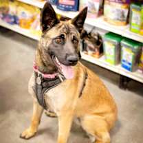 Thumbnail photo of Chai #1