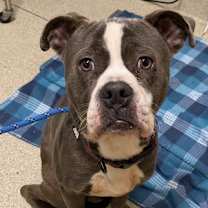 Thumbnail photo of Quinton #2