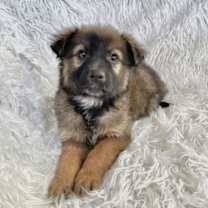 Thumbnail photo of UR Loving #2