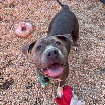 Thumbnail photo of Maybell #2