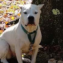 Thumbnail photo of Elsa #1