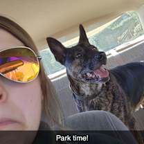 Thumbnail photo of Tony #3