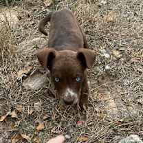 Thumbnail photo of Johnny #2