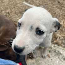 Thumbnail photo of Jane #2