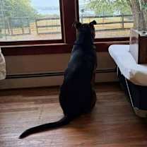 Thumbnail photo of RODNEY #3