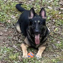 Thumbnail photo of Rico #2