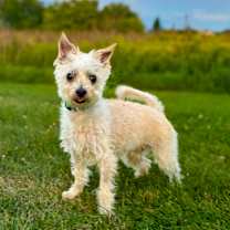 Thumbnail photo of Wesley #2