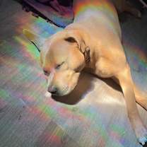 Thumbnail photo of Kilo #1