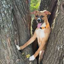 Thumbnail photo of Luigi #4