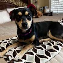 Thumbnail photo of Lady #1