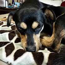 Thumbnail photo of Lady #2