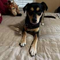 Thumbnail photo of Lady #3