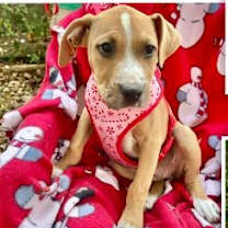 Thumbnail photo of Wanona #1