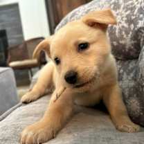 Thumbnail photo of Geanna #1