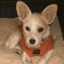 Thumbnail photo of FRANCO #2