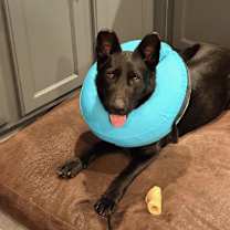 Thumbnail photo of Labubu URGENT HELP ‼️ #2