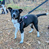 Thumbnail photo of Imogene #2