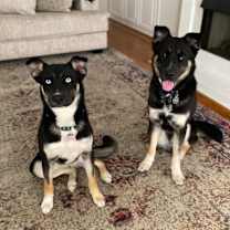 Thumbnail photo of Skye #1