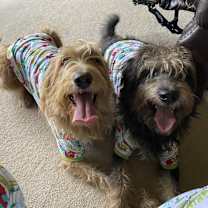 Thumbnail photo of PJ #2