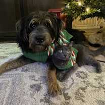 Thumbnail photo of PJ #3