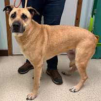 Thumbnail photo of Marley #3