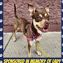 Thumbnail photo of Sadie #1