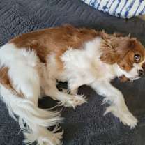 Thumbnail photo of Marco #2