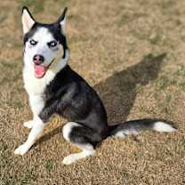 Thumbnail photo of Reba #2