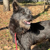 Thumbnail photo of Nelly #4