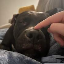 Thumbnail photo of Ivy IV (New Digs) #3