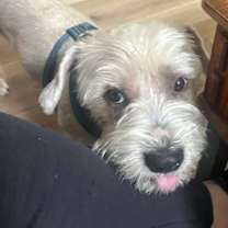 Thumbnail photo of Marty McFly #1