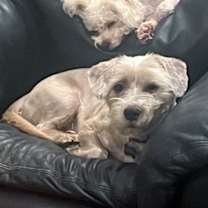 Thumbnail photo of Marty McFly #3