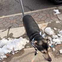 Thumbnail photo of Zeus #2