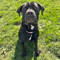 Thumbnail photo of Twinkle Toes #1