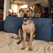 Thumbnail photo of Angel #1