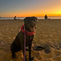 Thumbnail photo of Raven #4