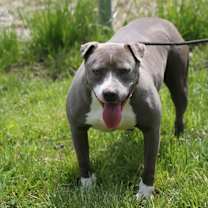 Thumbnail photo of Kia #4