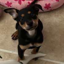 Thumbnail photo of Espresso #1