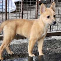 Thumbnail photo of Malia #4