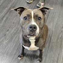 Thumbnail photo of Mary #2