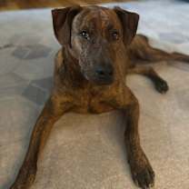 Thumbnail photo of Floyd #4